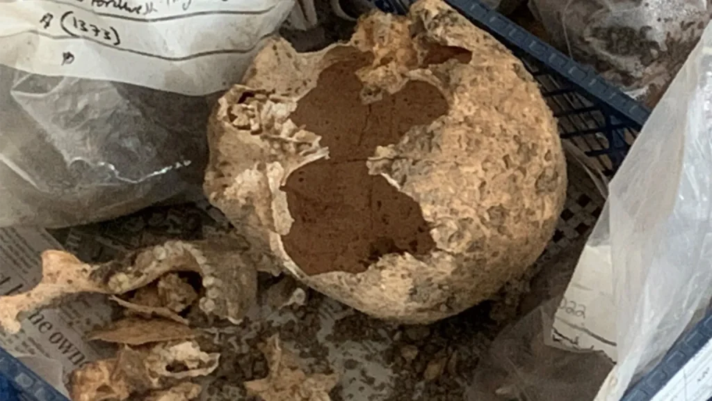 Archeologové si mysleli, že našli starověký zemědělský nástroj, ale ukázalo se, že jde o něco mnohem cennějšího