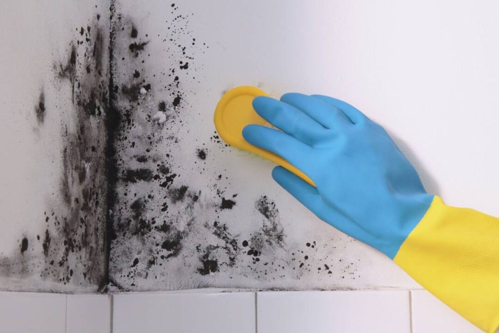 4 řešení pro odstranění vlhkosti na stropě koupelny. Co ji způsobuje a jak se jí zbavit: domácí recept