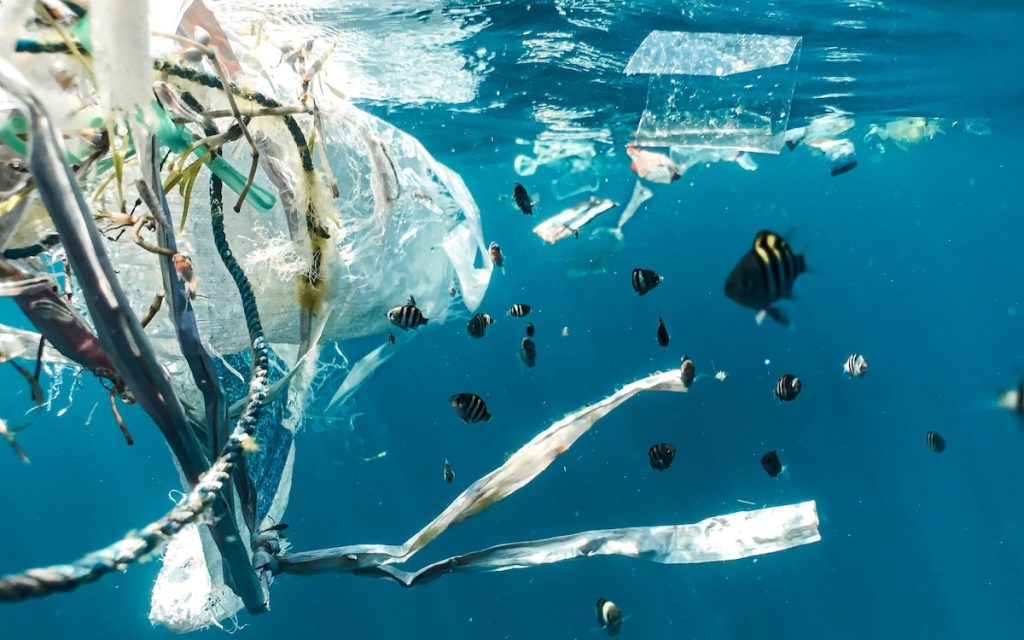 Inovativní biologicky rozložitelný plast by mohl ukončit znečišťování moří