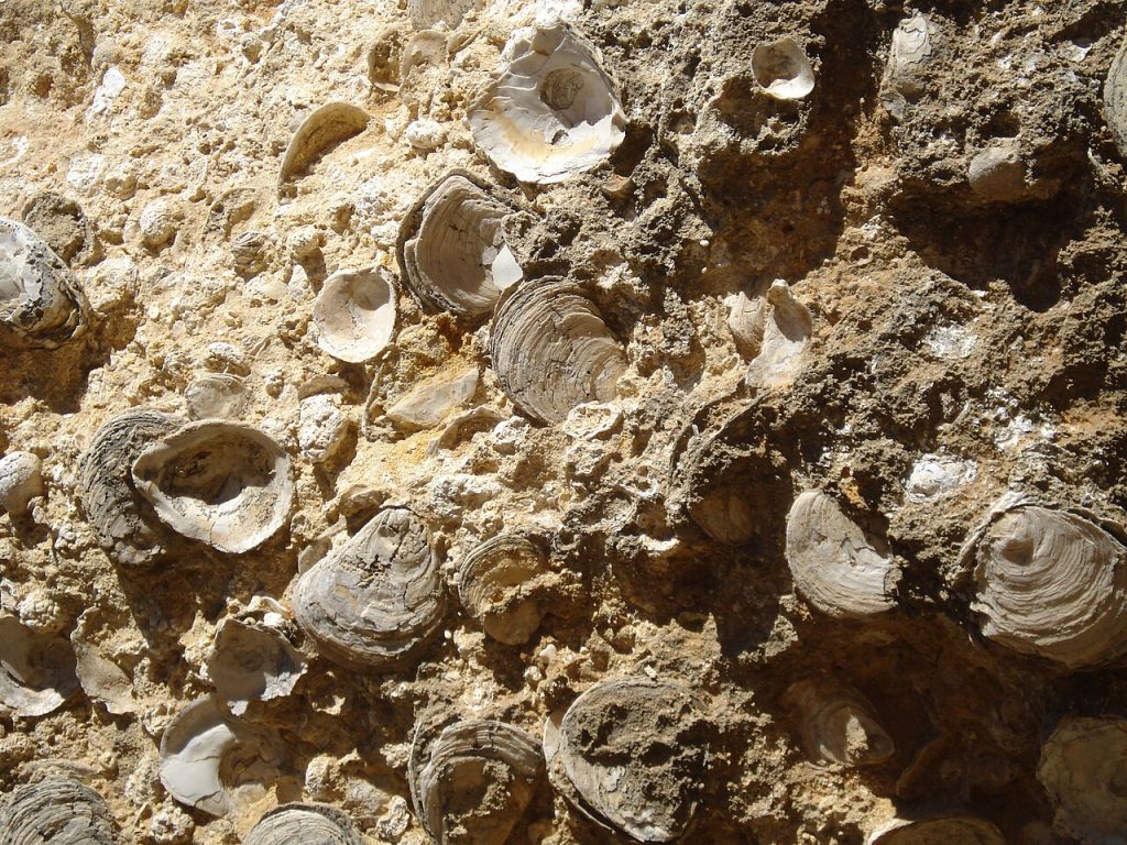 Objev „luxusního“ římského pokladu starého 1800 let: archeologický nález, který mění dějiny lidstva