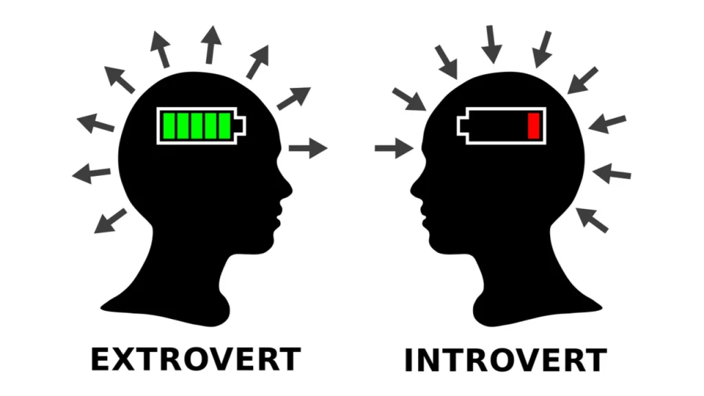 Test osobnosti s optickou iluzí: liška nebo delfín? Zvíře, které uvidíte jako první, vám ukáže, zda jste extrovert nebo introvert