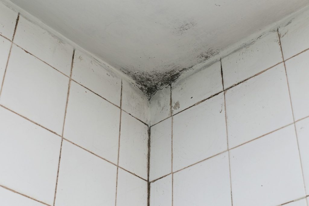 Způsob, jak odstranit plíseň ze stropu koupelny bez použití stěrky, vyvinutý odborníky na čištění