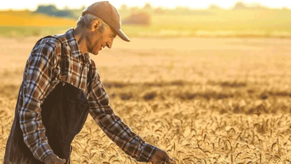 Od snu k noční můře: farmář našel zlato v hodnotě 4 miliard eur a zákon ho zabavil