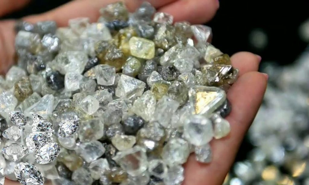 Čtrnáctiletý chlapec na procházce v parku našel 7,44 karátový diamant v hodnotě 920 000 eur.