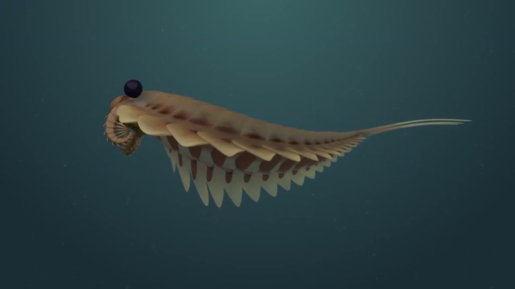Byla nalezena fosilie podivného tříokého dravce s ostrými pažemi, který žil před 500 miliony let