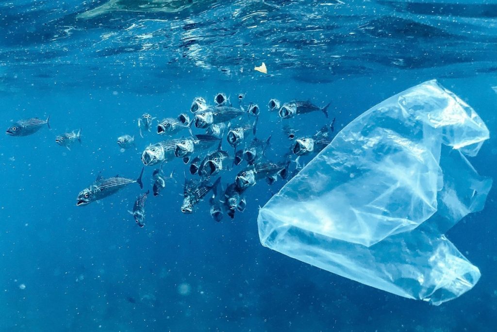 Mikroplasty v globálním rentgenovém záření: jak se šíří a ovlivňují oceánské ekosystémy
