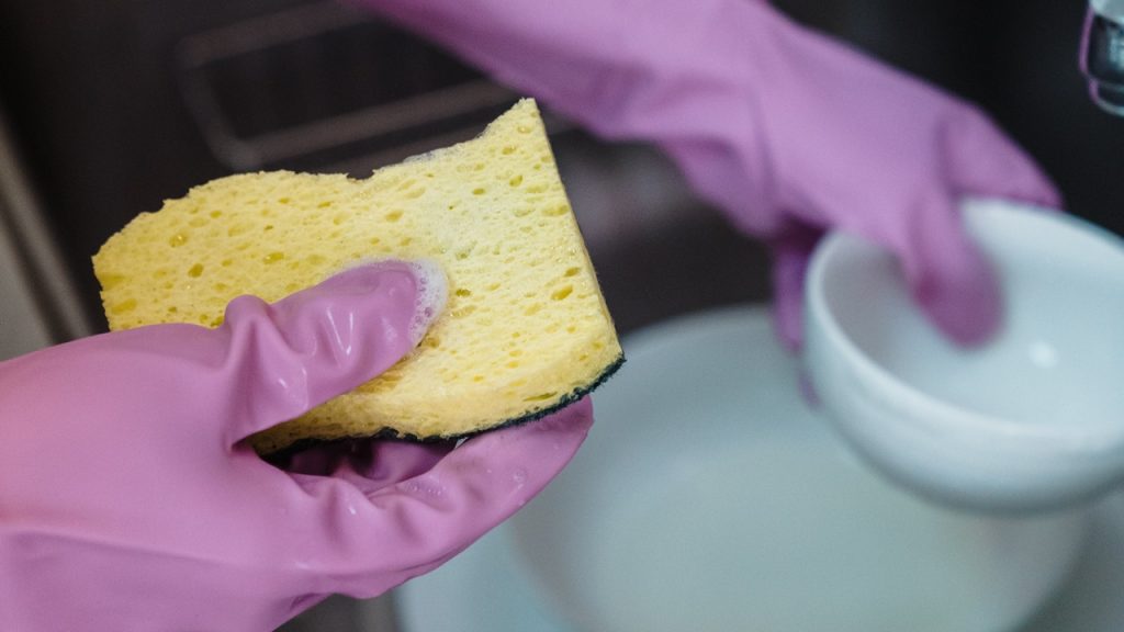Odborník na zahradničení nám říká, proč byste měli na zahradě používat houbičky na mytí nádobí