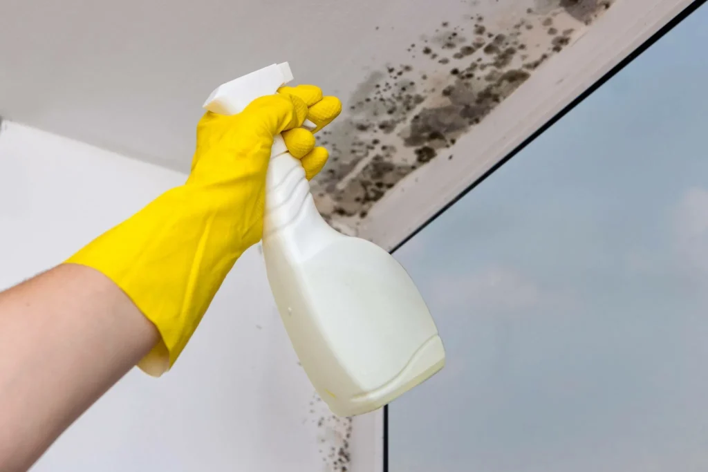 4 řešení pro odstranění vlhkosti na stropě koupelny. Co ji způsobuje a jak se jí zbavit: domácí recept