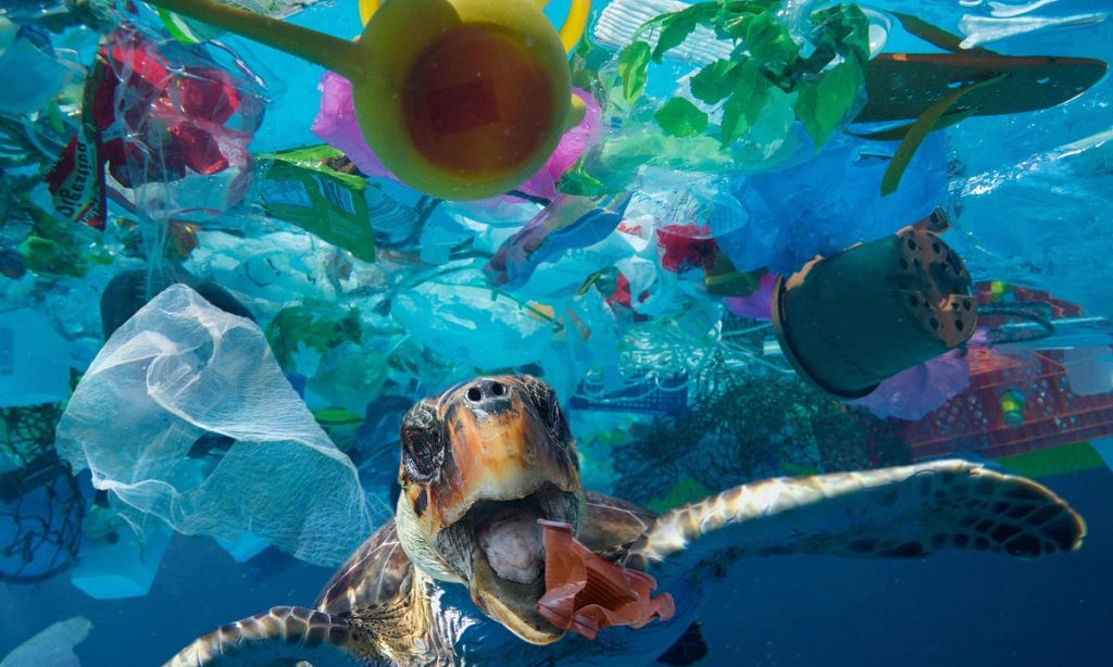 Plasty v oceánech: příčiny, důsledky a jak tomu můžeme zabránit
