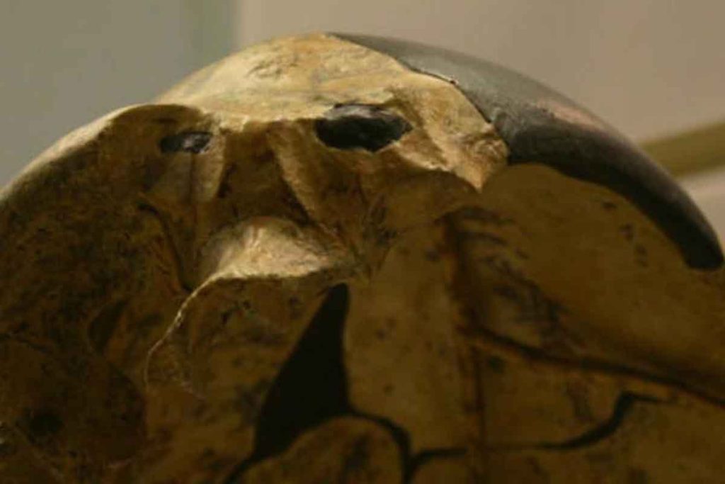 Archeologové objevili 300 000 let starou lebku, která se „nepodobá žádnému lidskému předkovi“
