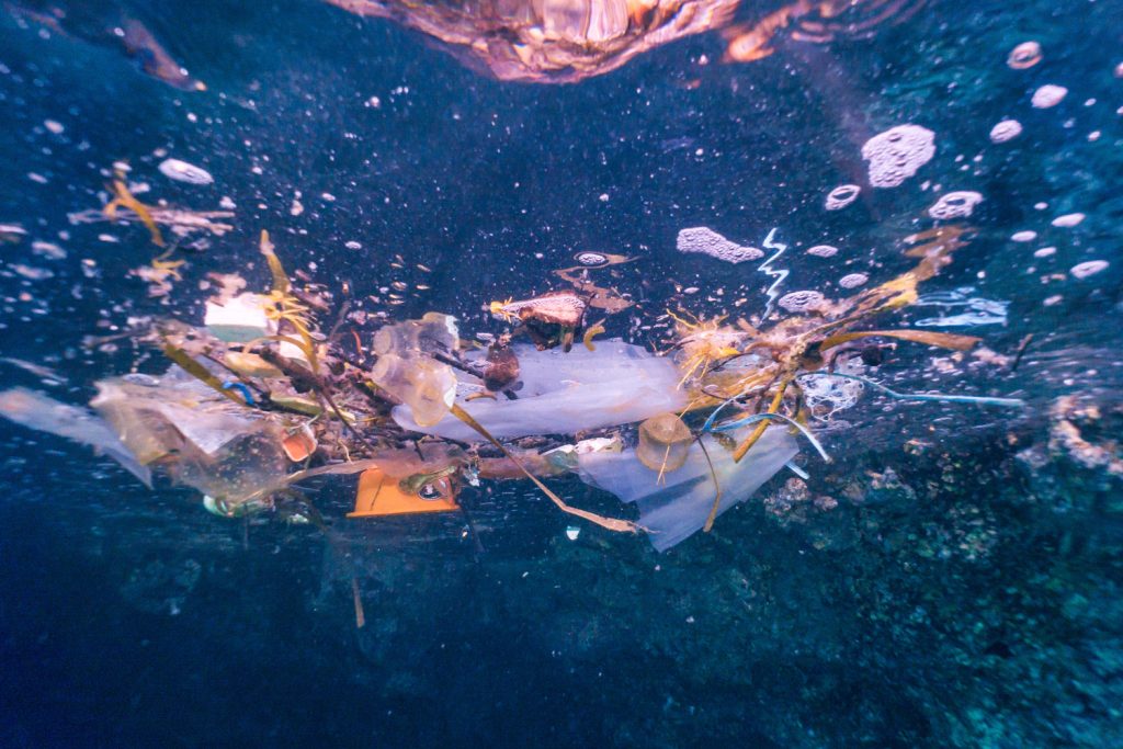 Tajemná mořská houba, která může navždy změnit osud plastů