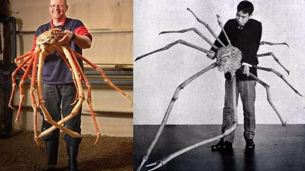 Morské příšery existují. „Unášejí a požírají námořníky“