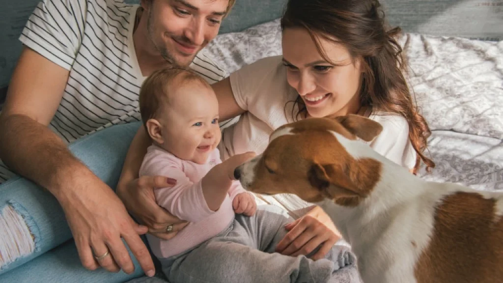 Plemena psů, která vyžadují velkou pozornost ze strany majitele